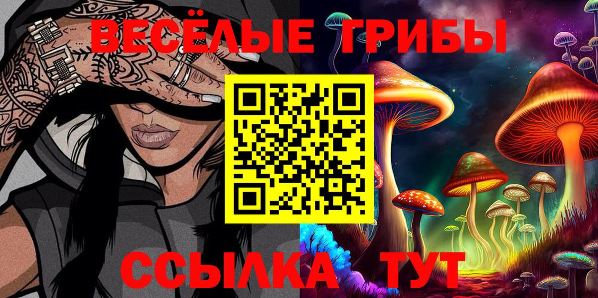 Псилоцибиновые грибы Psilocybe Александров