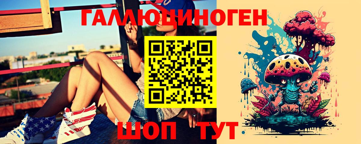Александров  Псилоцибиновые грибы MAGIC MUSHROOMS  Вход с VPN 